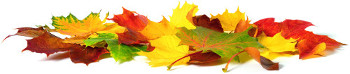 Das Pro-Kita-Portal im Herbst