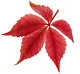 Das Pro-Kita-Portal im Herbst